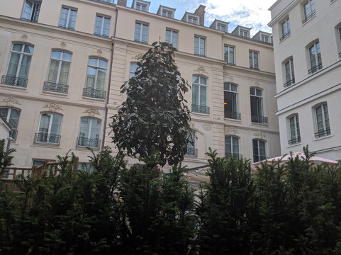 巴黎2区雅高霍克斯顿酒店（地铁8/9号线）主图