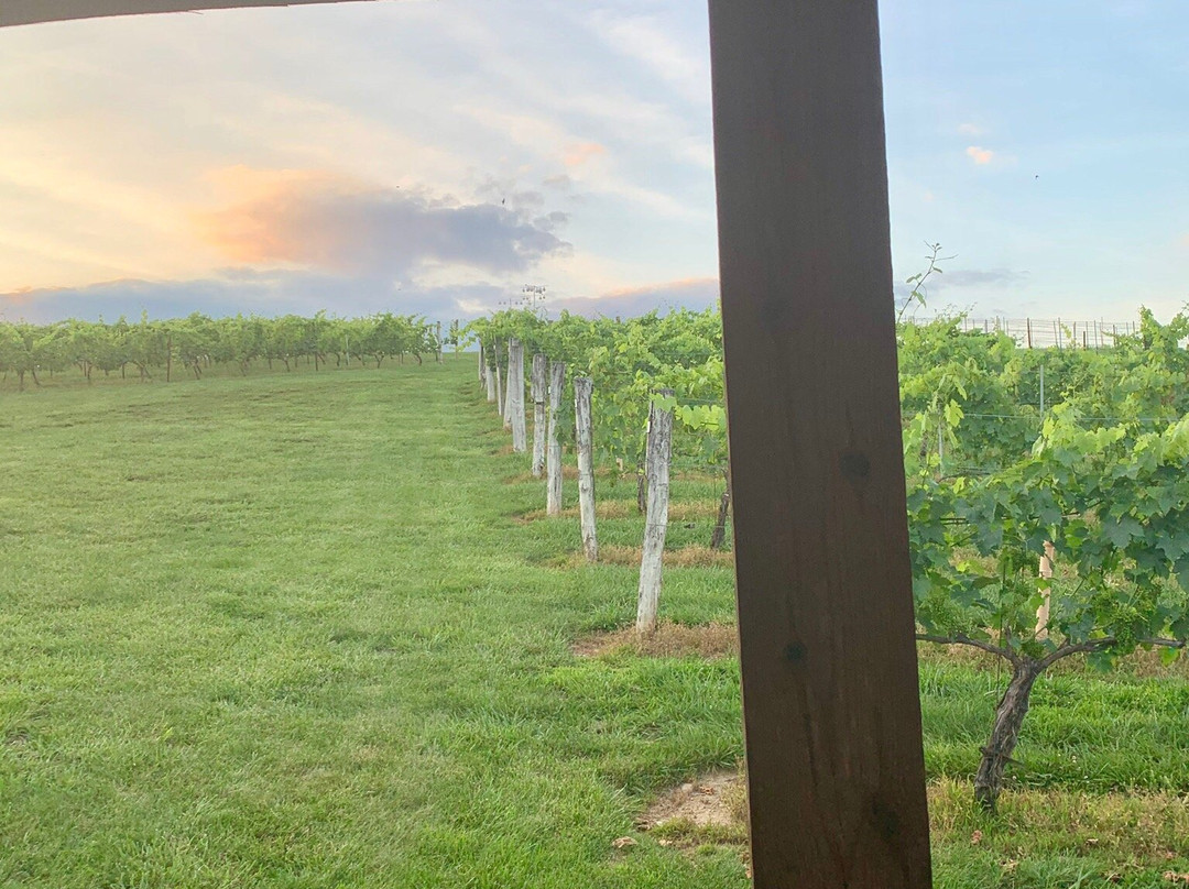 Elkin Creek Vineyard景点图片