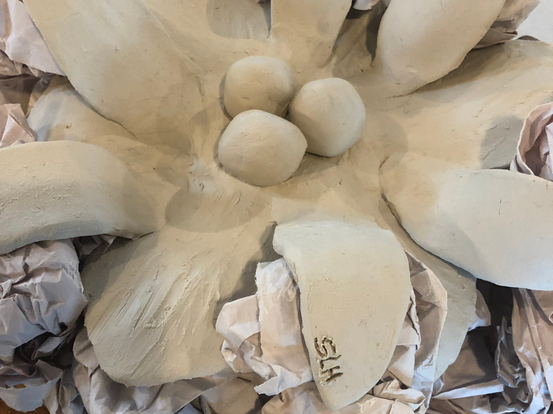 Hazy Tales-Drysdale必去景点