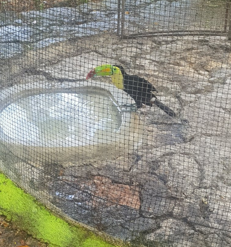 Zoologico Payo Obispo-切图马尔必去景点