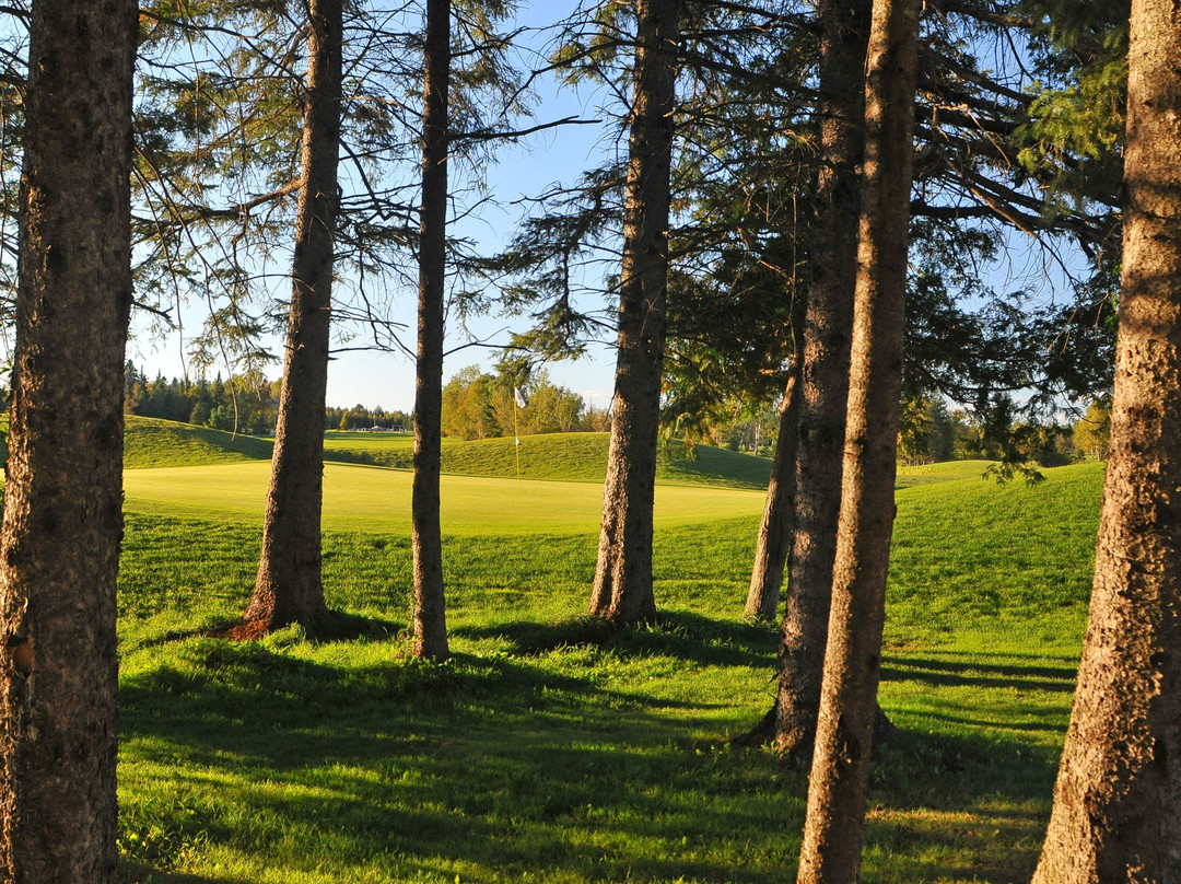 Canadian Golf & Country Club景点图片
