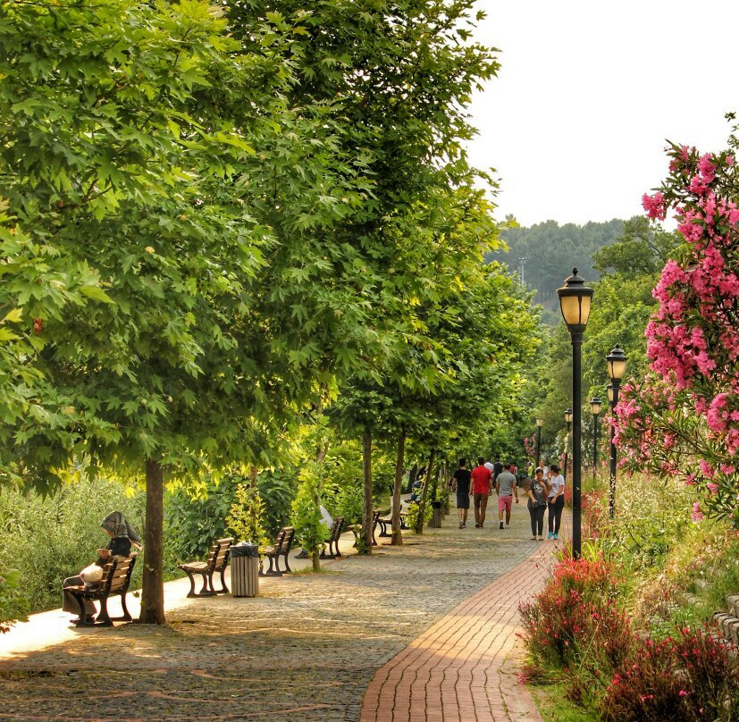 Sakarya Gölpark-Sakarya必去景点