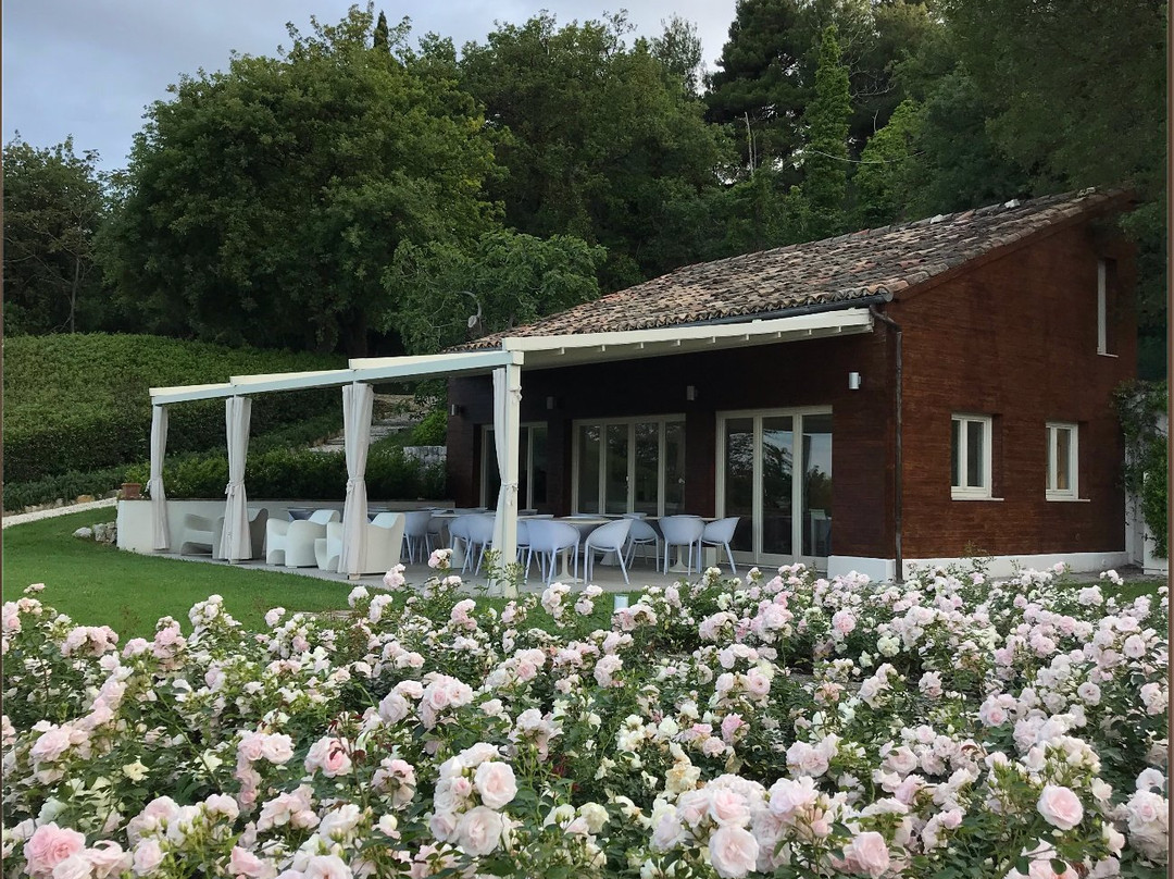 Novecamere Resort Sirolo主图