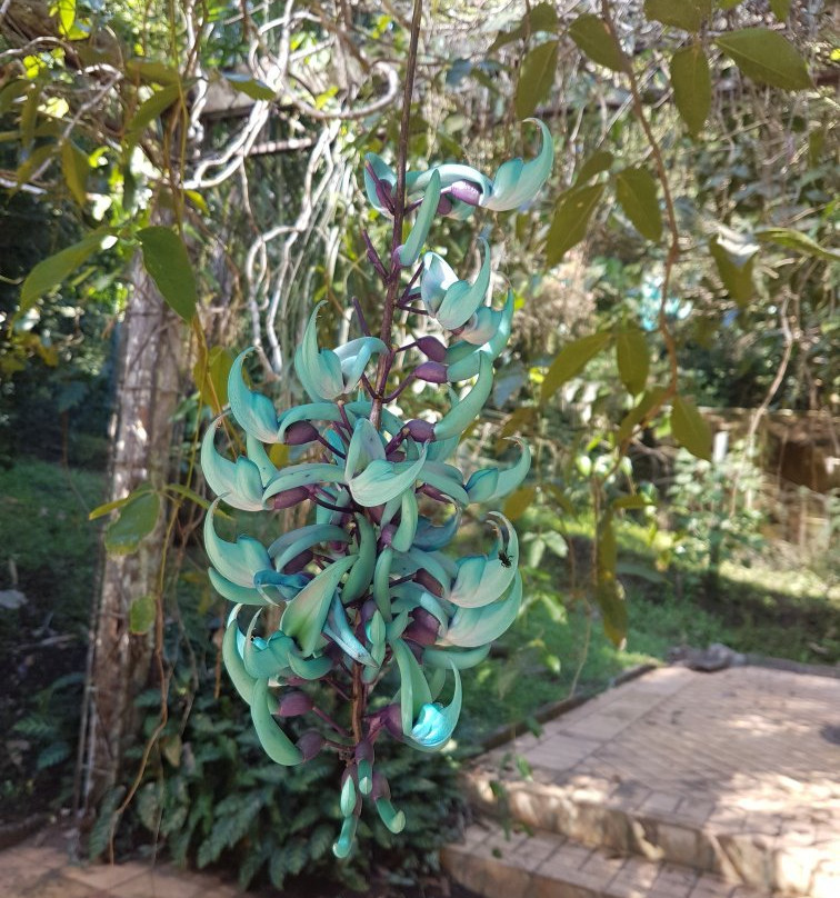 Pousada Quinta Do Jade主图