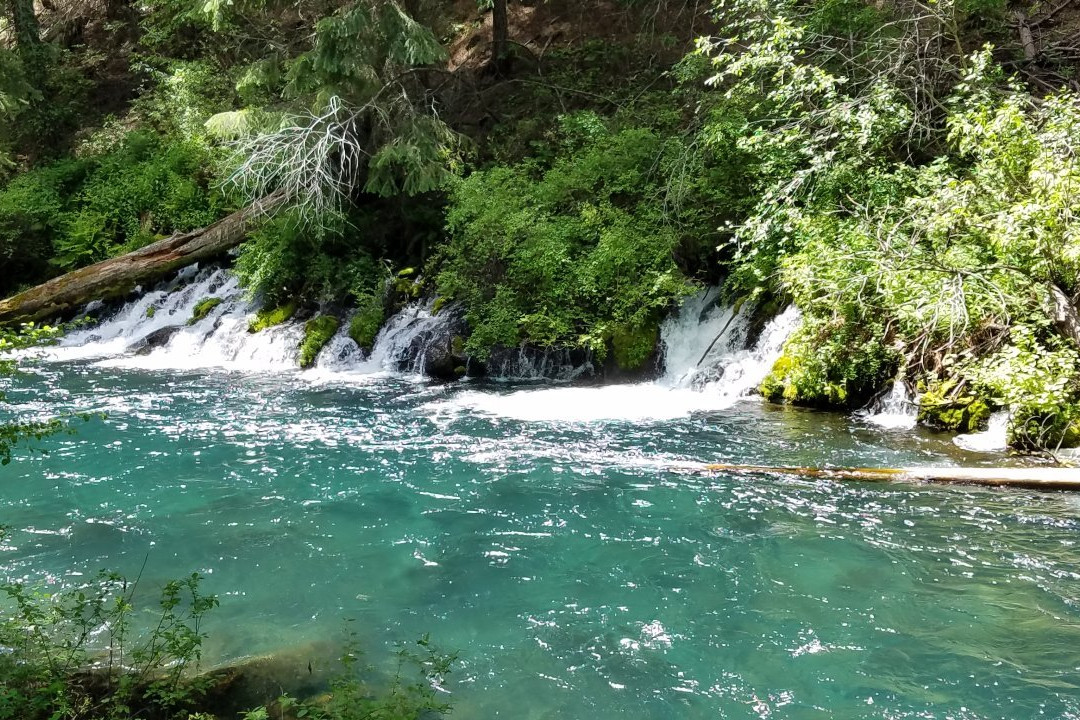 Metolius River景点图片