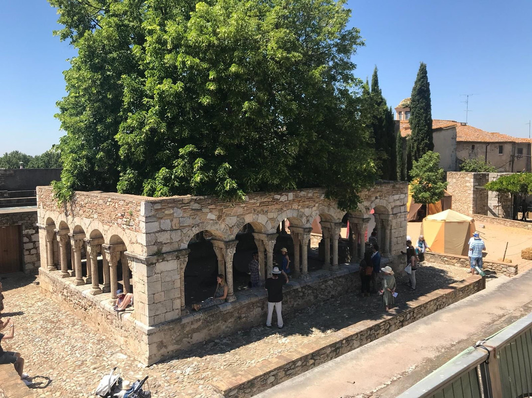 Romanesque cloister of Sant Domenec (Museum of the town)景点图片