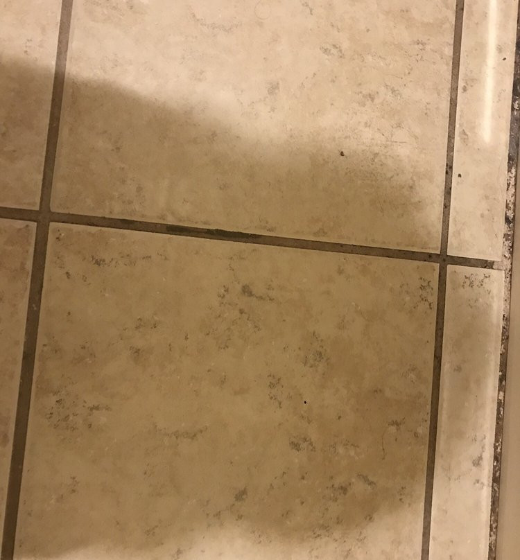 Knights Inn Bridgeport/Frankenmuth主图