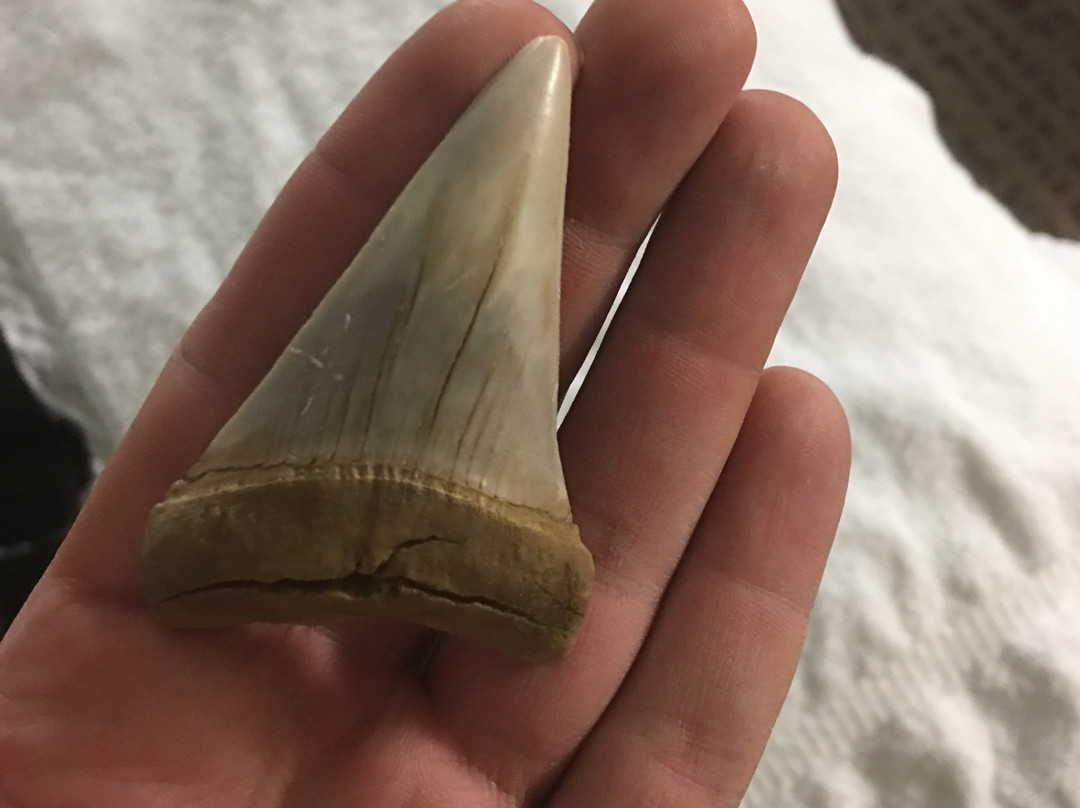 Ernst Quarries-贝克斯菲尔德必去景点