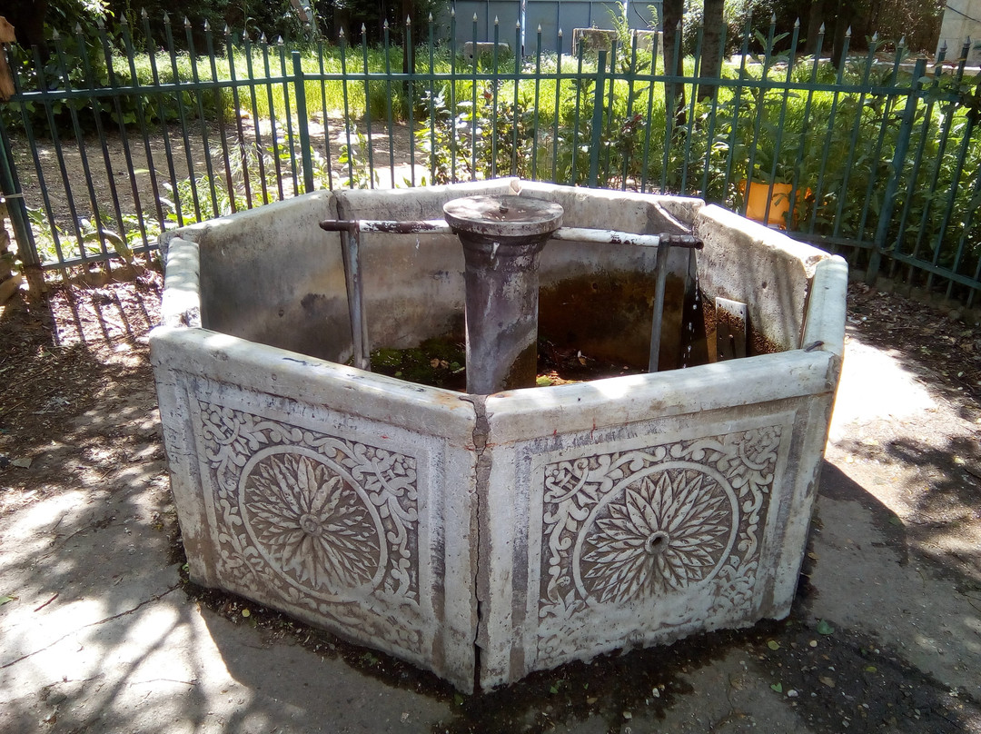 Shadervani Fountain景点图片