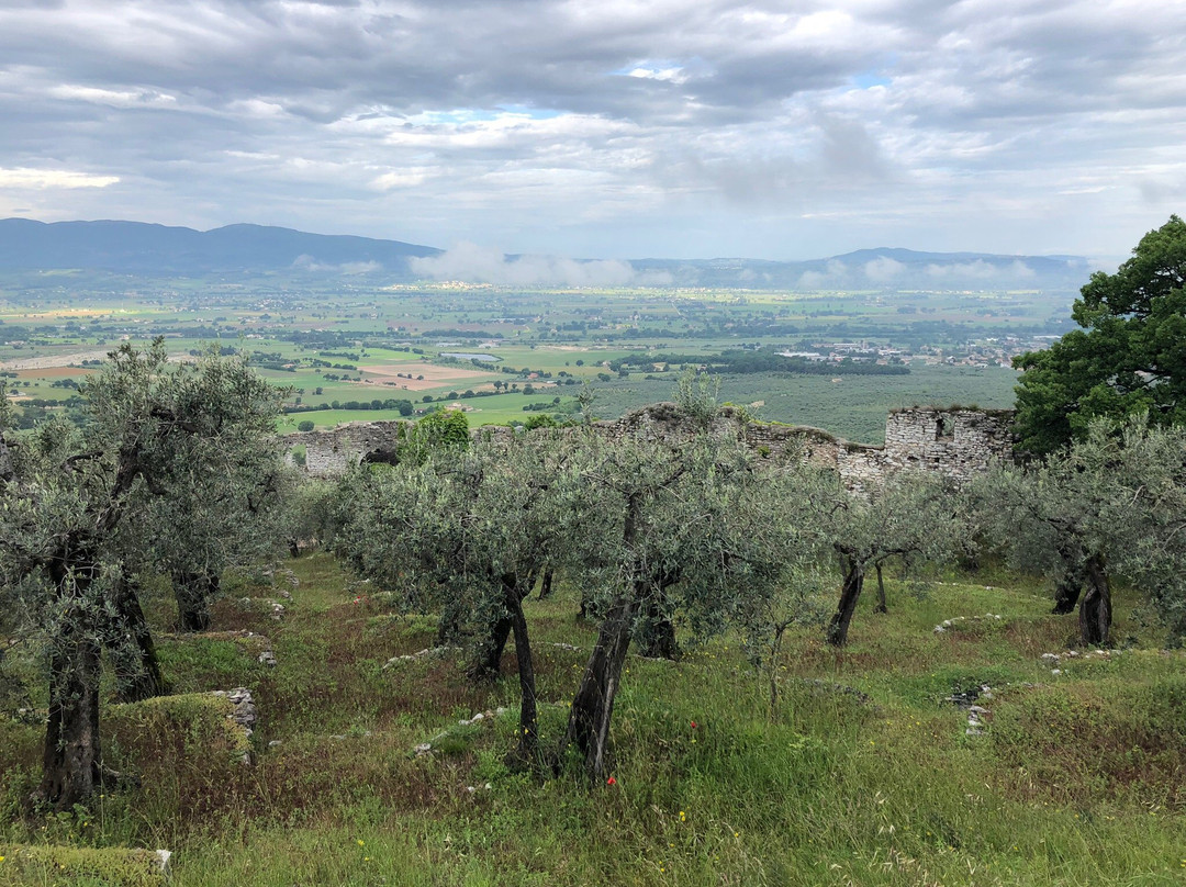 Castello di Poreta主图