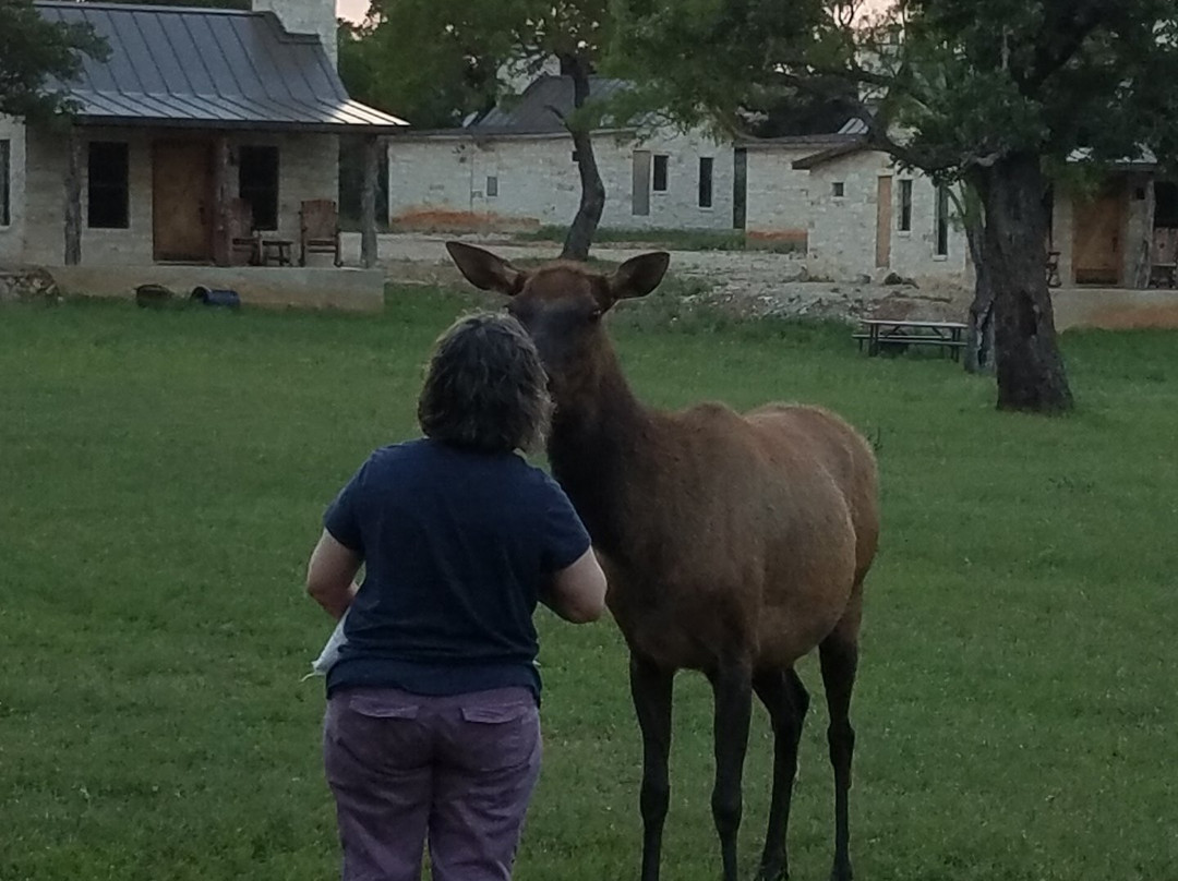 Country Inn Cottages主图