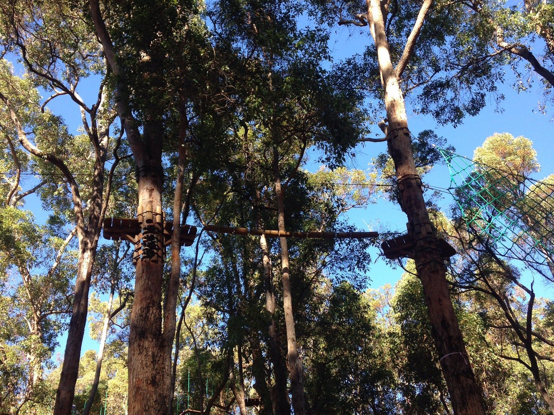 Treetops Adventure Dwellingup景点图片