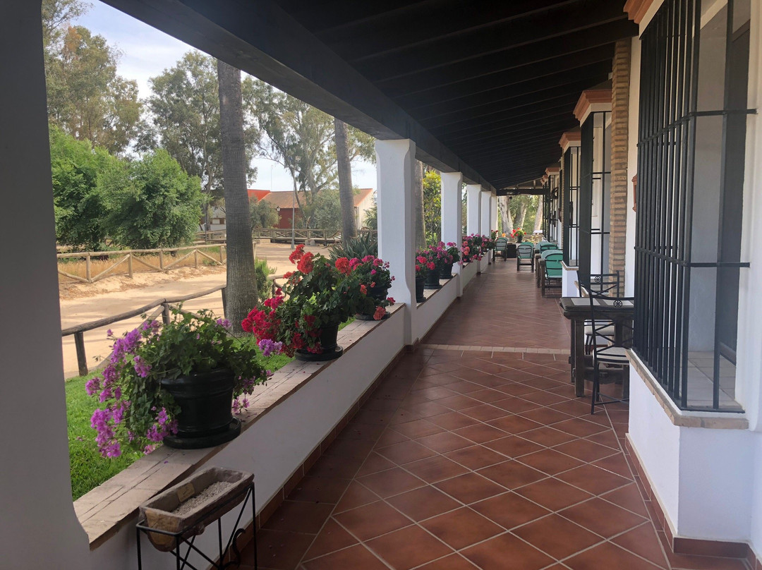 Hotel Cortijo Las Malvasias主图