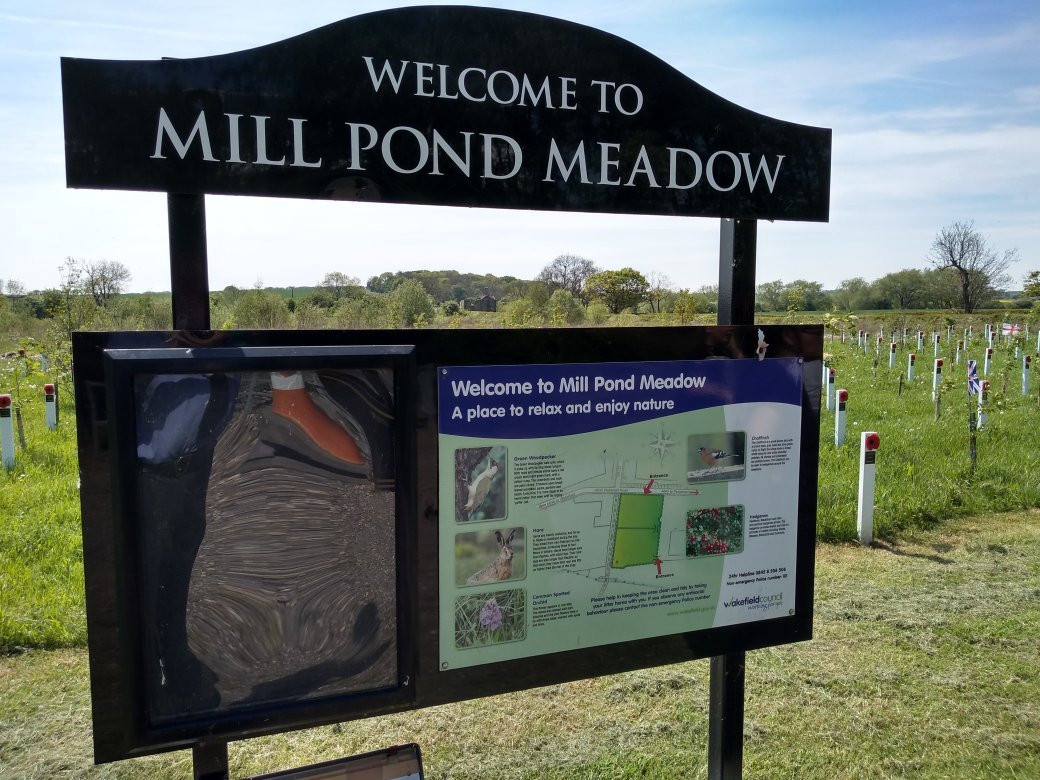 Mill Pond Meadow景点图片
