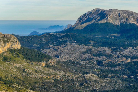 Helimallorca-马洛卡帕尔马必去景点