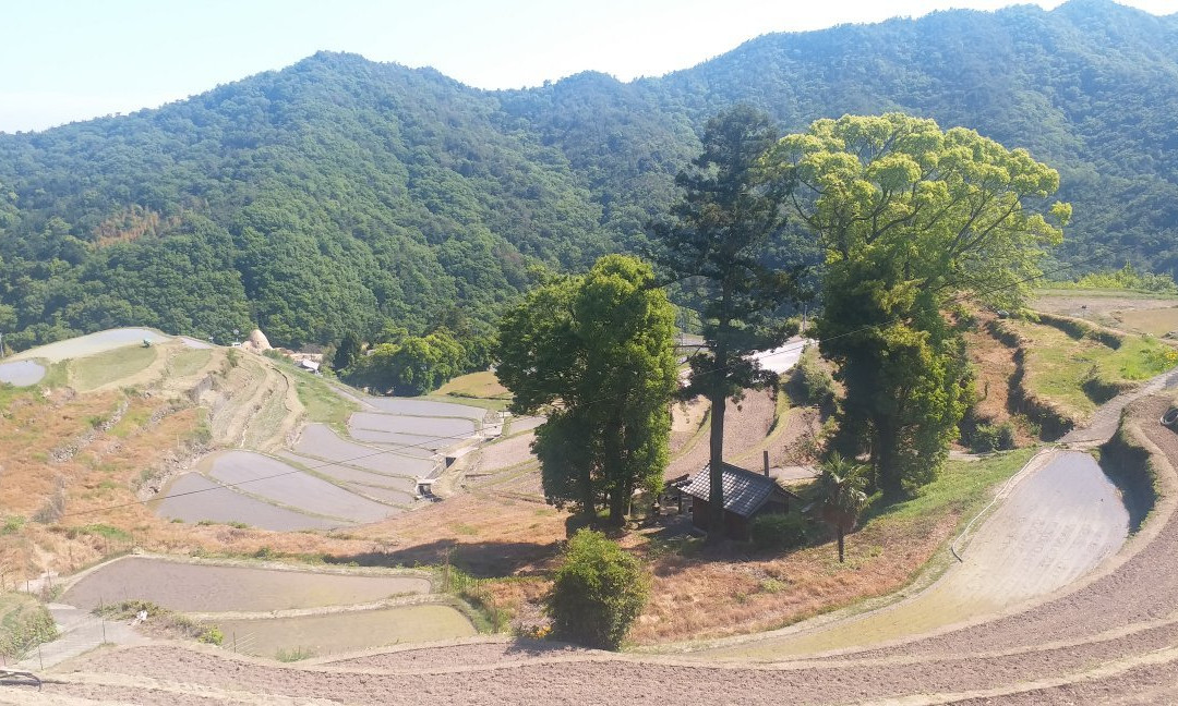 Nakayama Senmaida景点图片