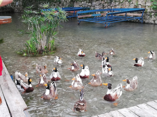 Arikanda River Garden Hotel主图