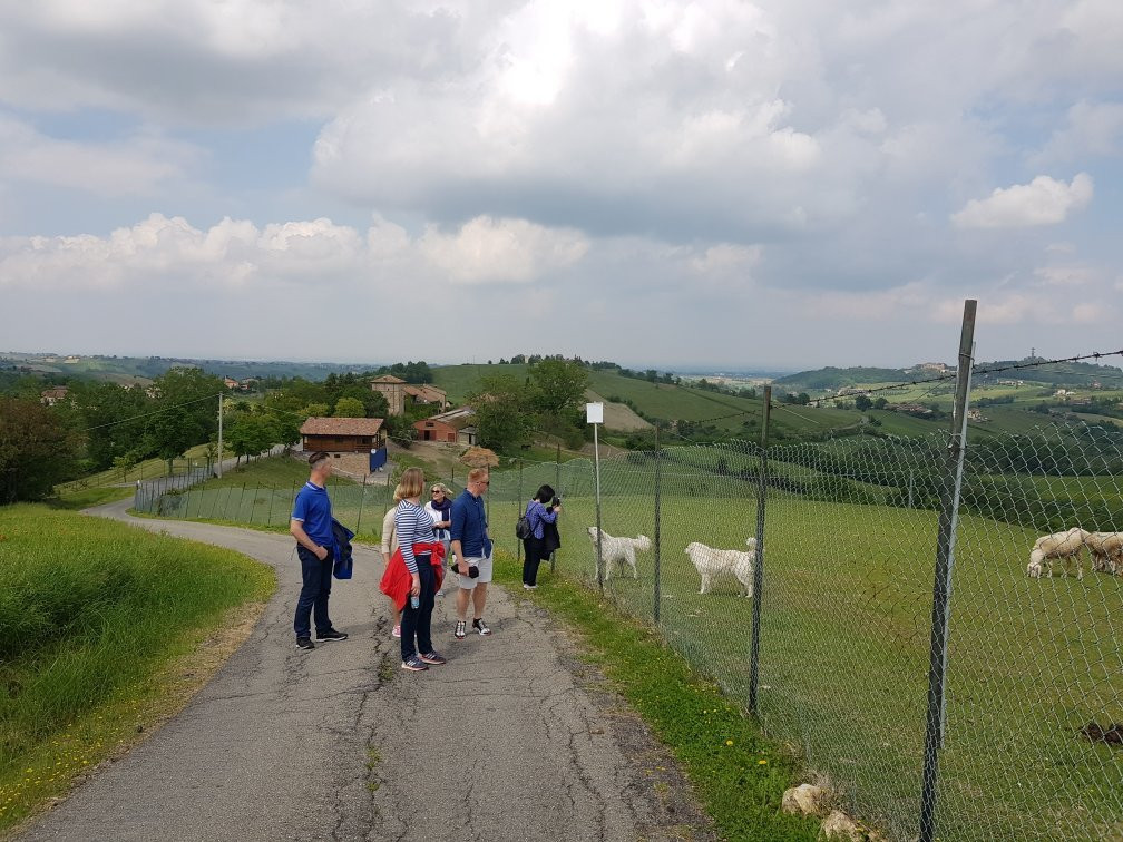 Agriturismo Antica Torre主图