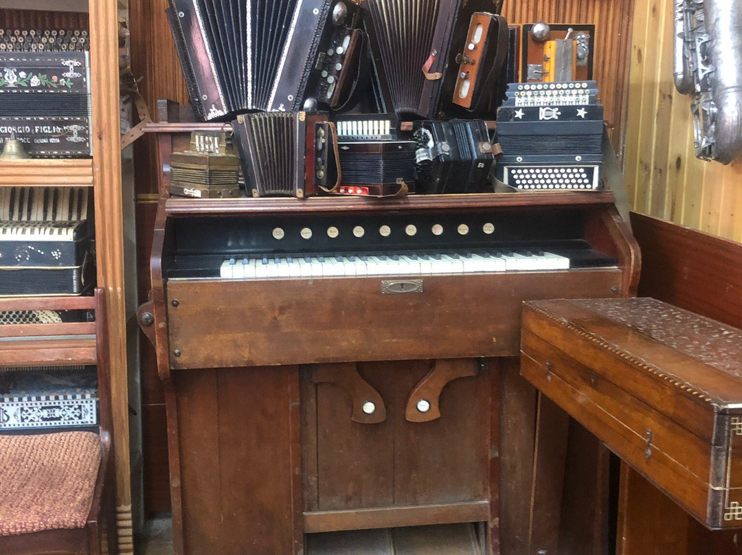 Pyatimorsk旅游景点-Musical Instruments Museum of Y. Pushkin