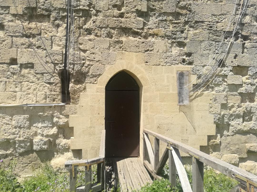 Castello di Agira景点图片