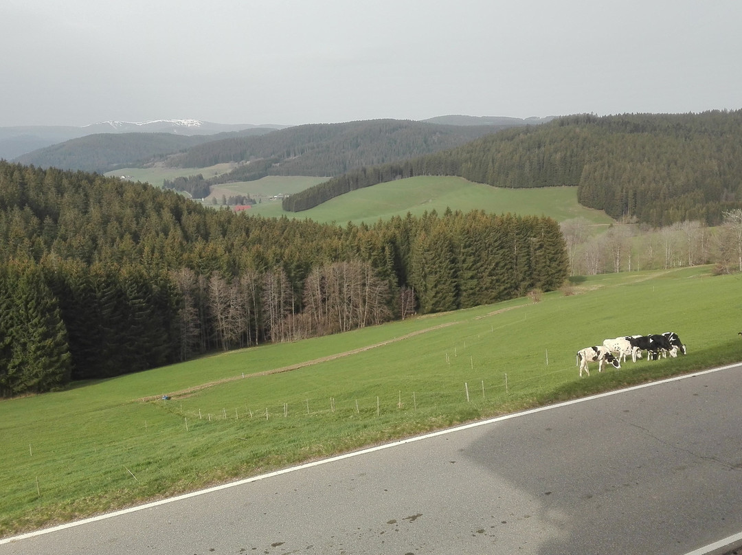 Pension Forsthaus Tale主图