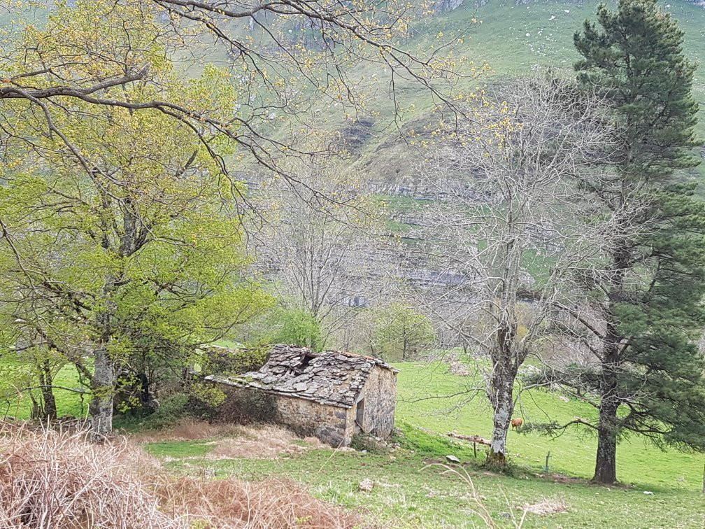 Ruta de Las Cabañas Pasiegas景点图片