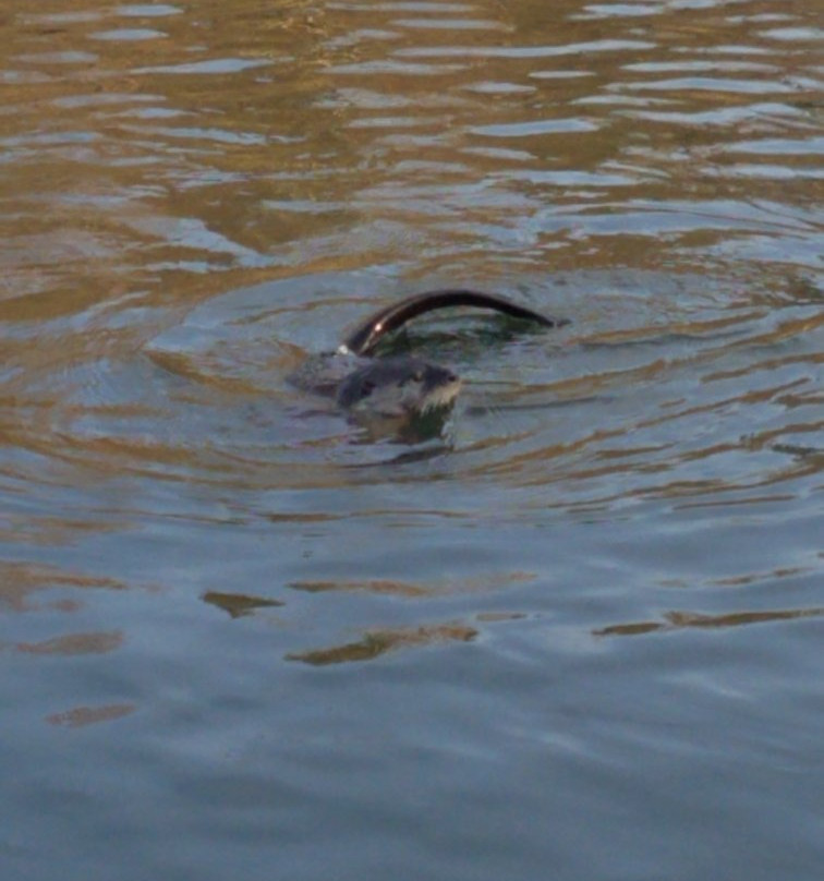 Tumwater Historical Park-塔姆沃特必去景点