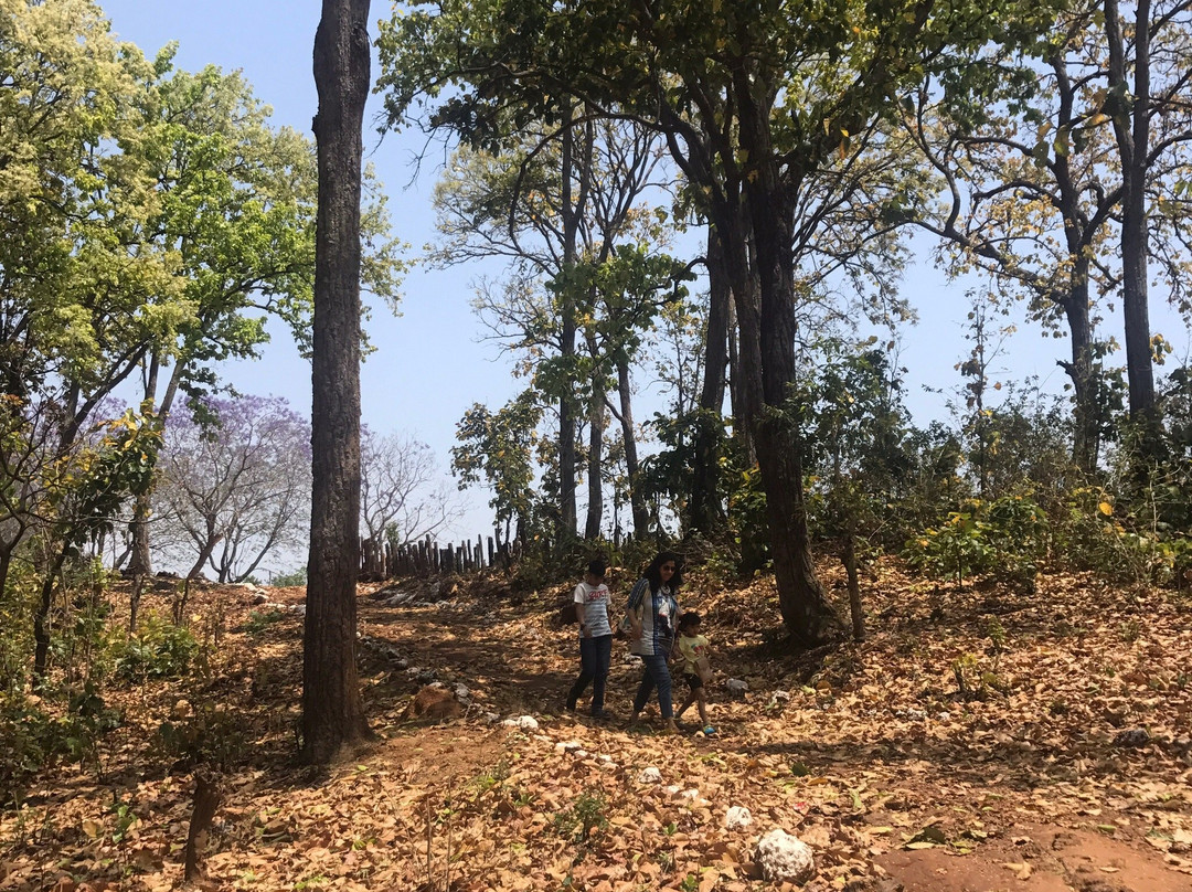 Upper Ghaghri Falls-Netarhat必去景点