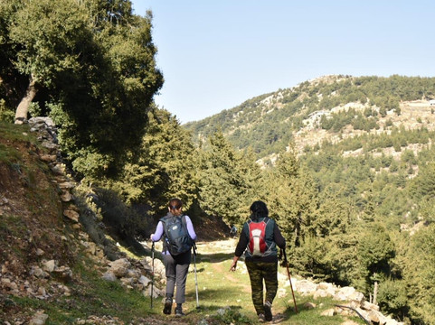 HighKings-朱拜勒必去景点