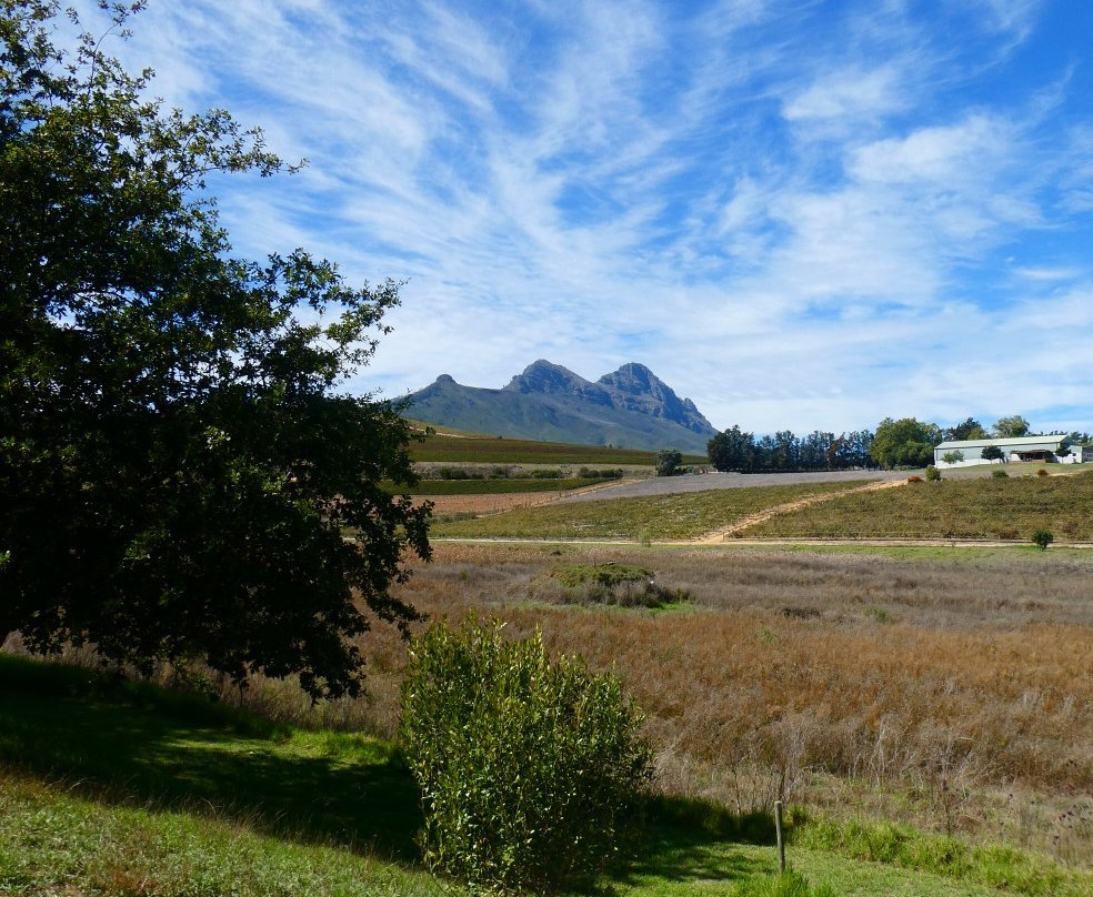 Dirtopia-斯泰伦博斯必去景点