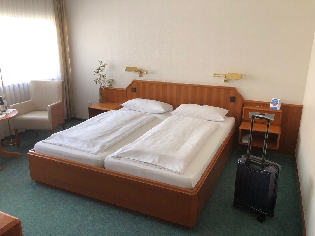 Hotel Am Stadtpark主图