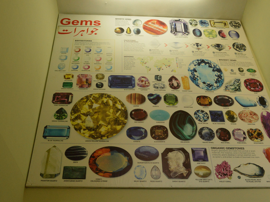 Pakistan Museum of Natural History-伊斯兰堡必去景点