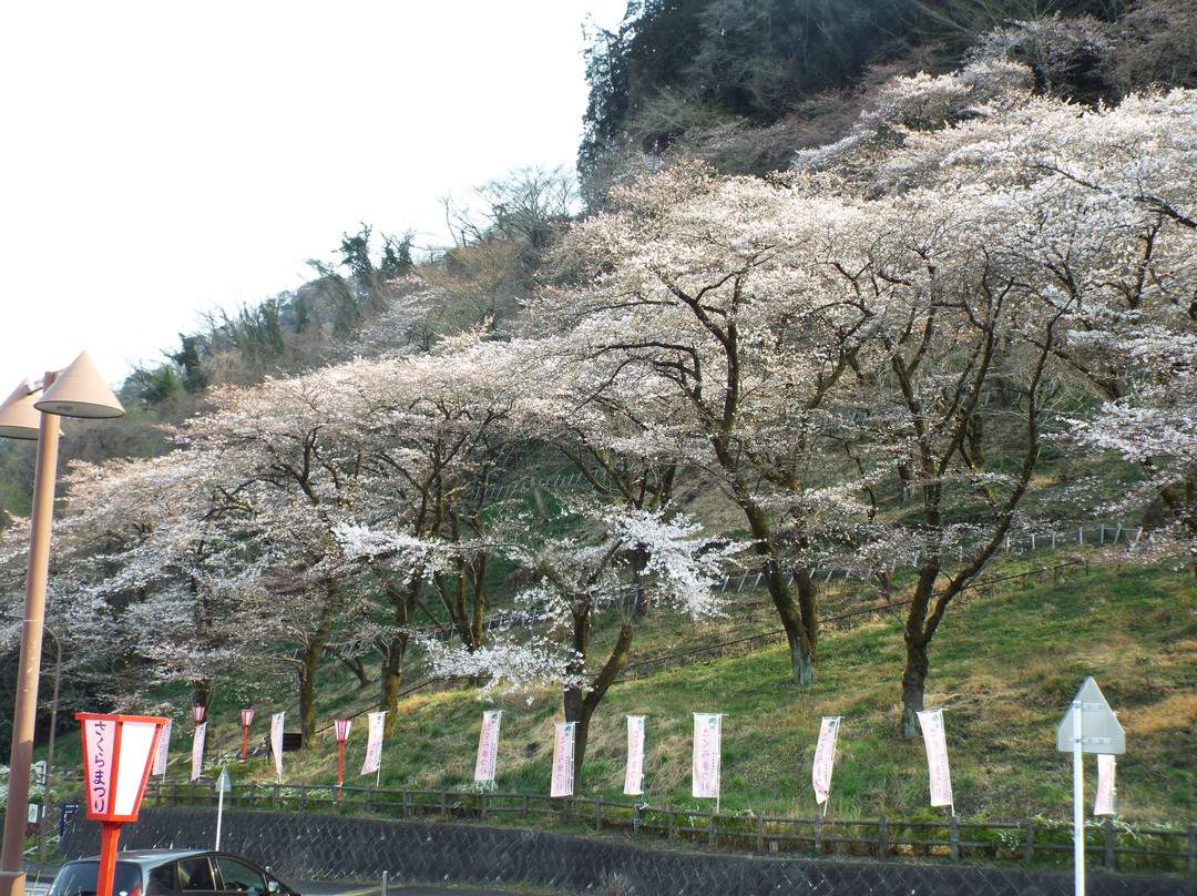 Kanagawa Prefectural Lake Tsukui Shiroyama Park, Water Garden, Flower Garden-相模原市必去景点