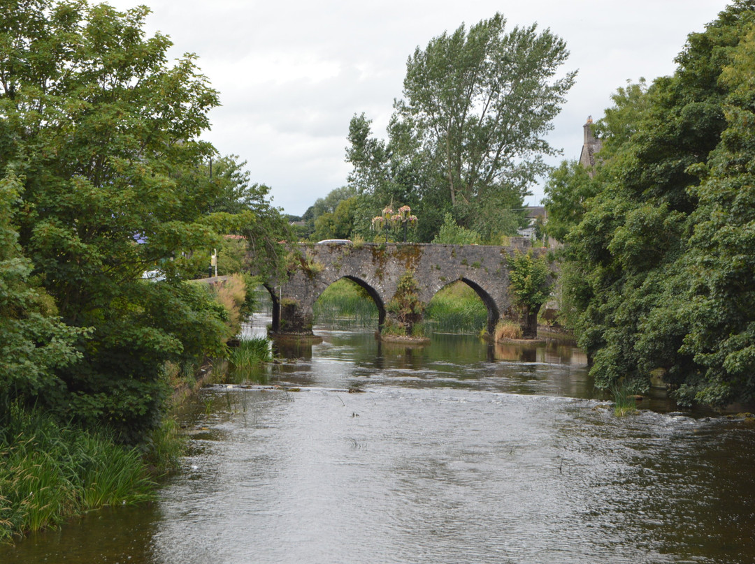 Ireland's Oldest Bridge-Trim必去景点