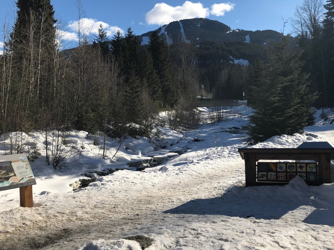 Whistler Valley Trail-惠斯勒必去景点