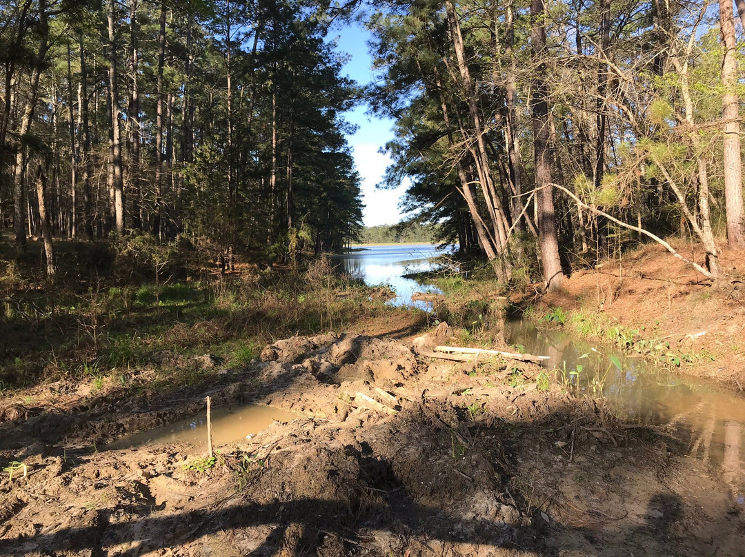 The Alabama-Coushatta Tribe of Texas-利文斯顿必去景点