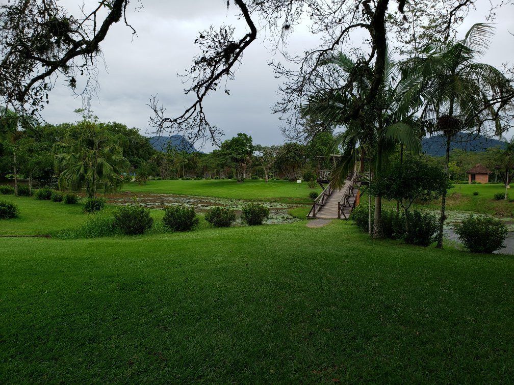 Timbó Botanical Garden-Timbo必去景点