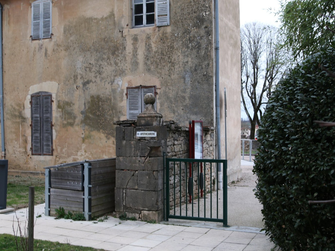 Apothicairerie-Saint-Amour必去景点