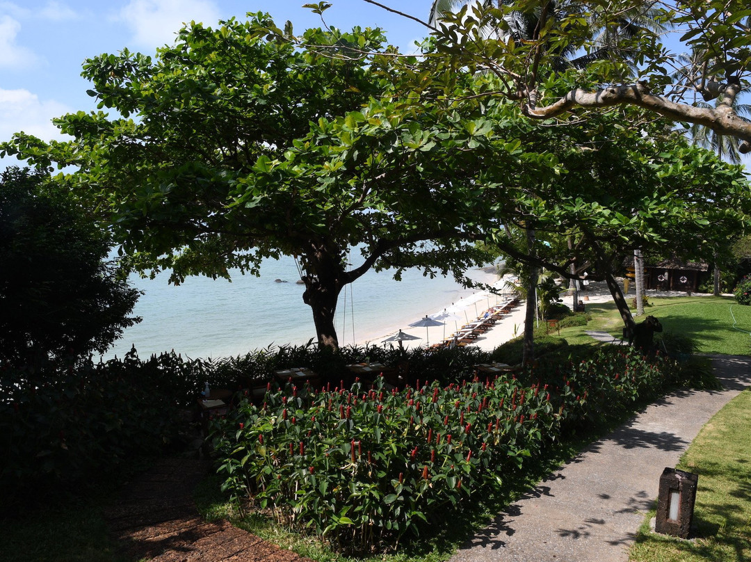 卡马拉雅酒店主图