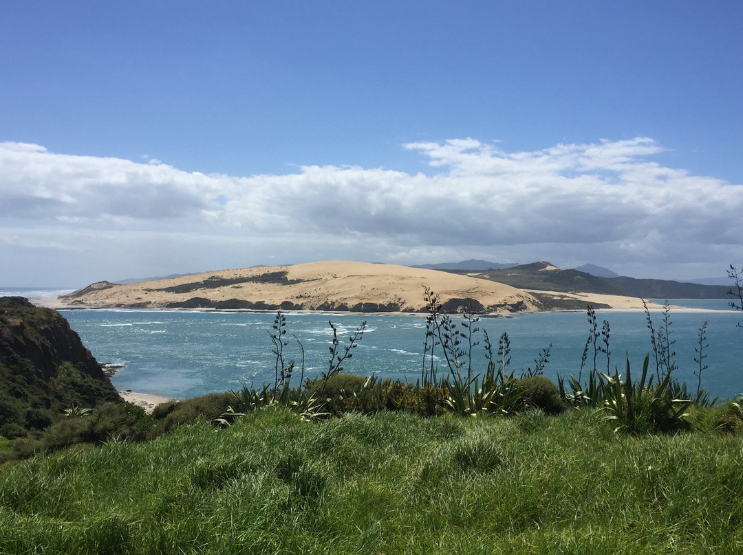 Kokohuia Lodge主图