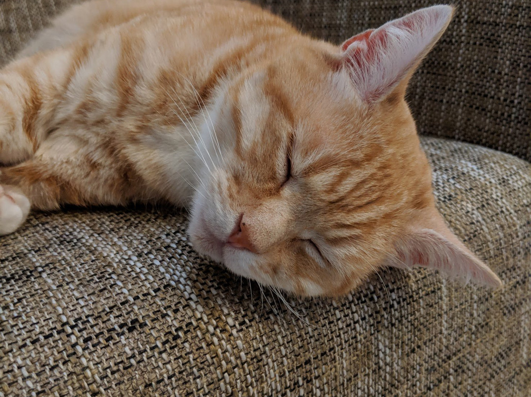 NH简塔巴克酒店主图