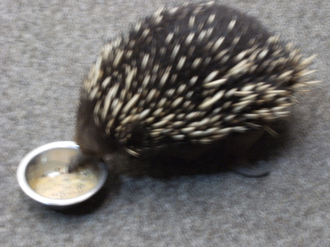 Beauty Point Cottages B&B主图