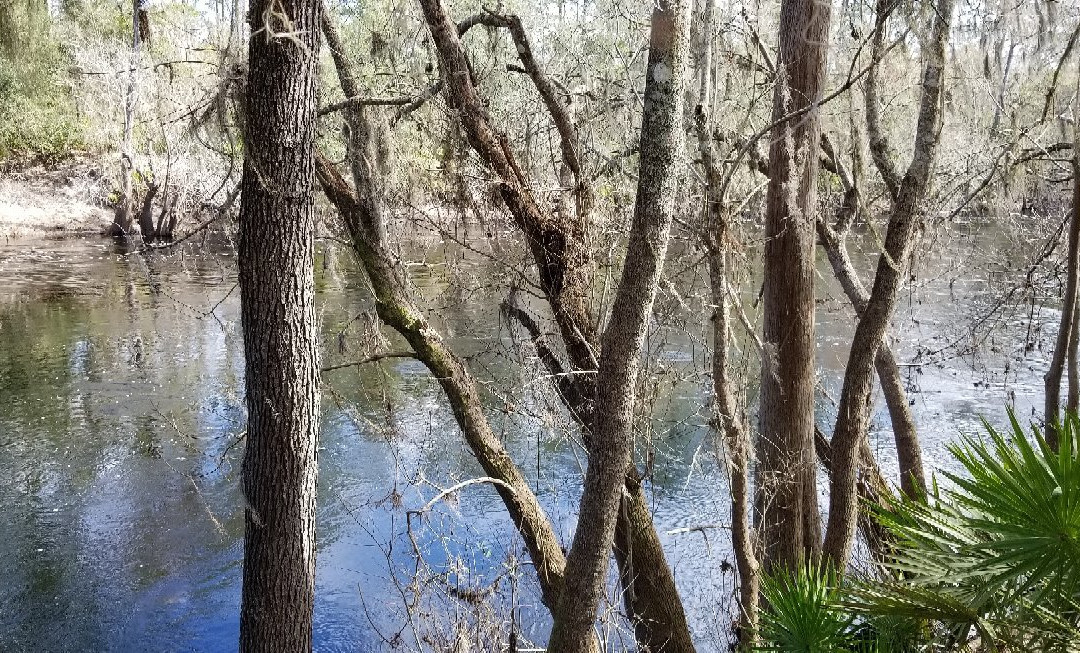 Big Shoals State Park-White Springs必去景点