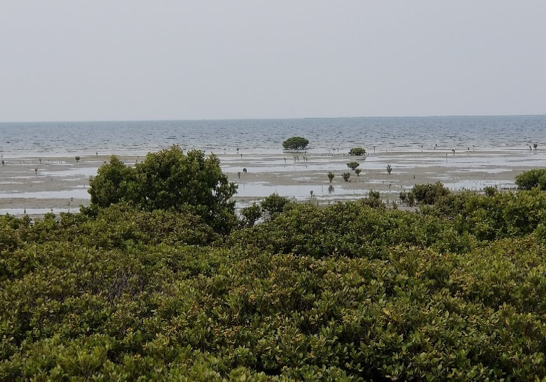 Toora Bird Hide-Toora必去景点