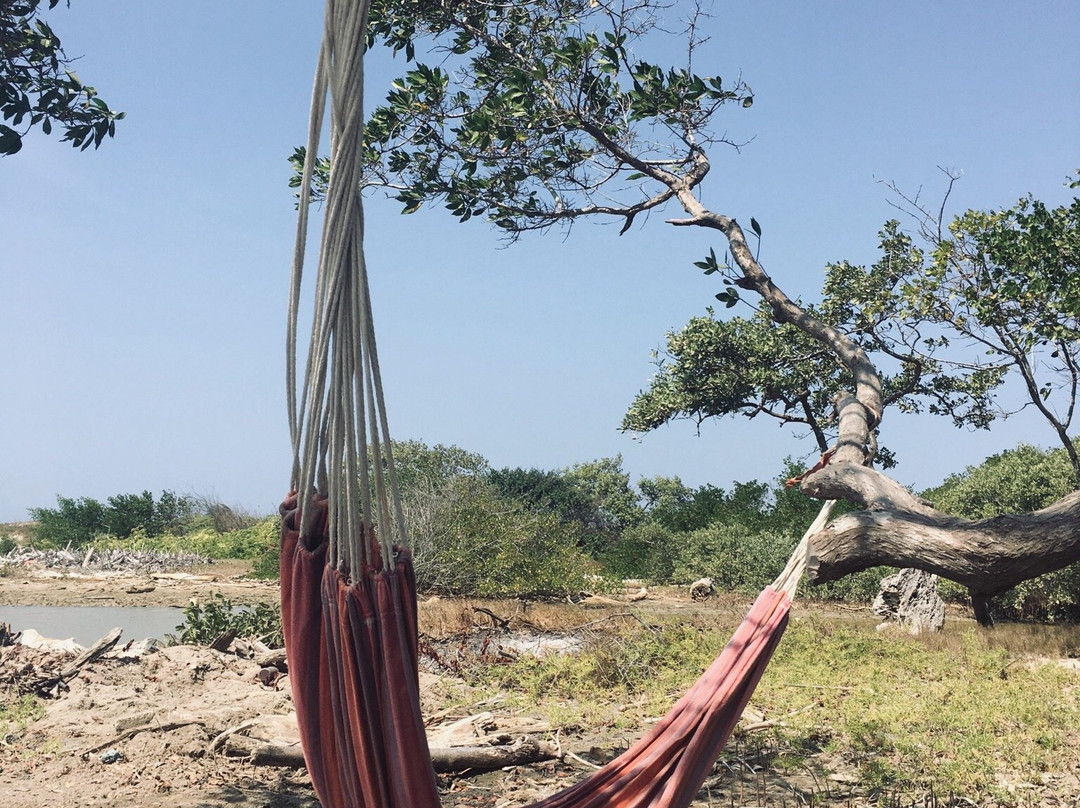 Playas de Santa Veronica景点图片