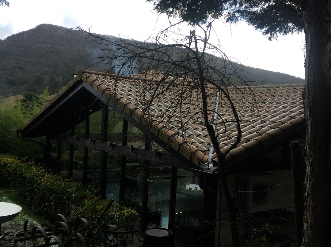 Arcos de Quejana Hotel & Restaurant主图