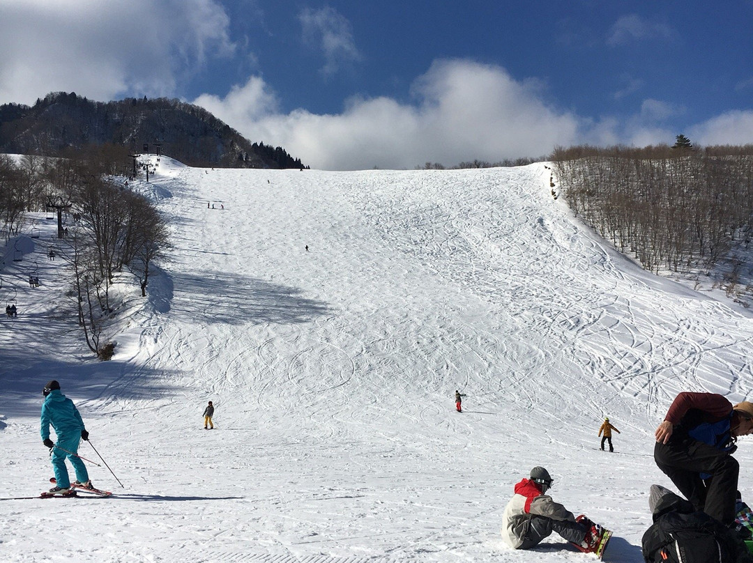 Mt. Hyono-养父市必去景点