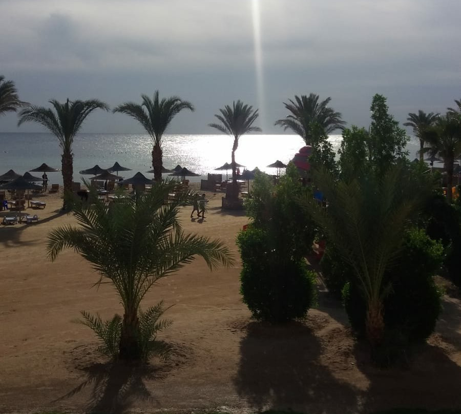 Marsa Shoona Bay-马萨阿拉姆必去景点