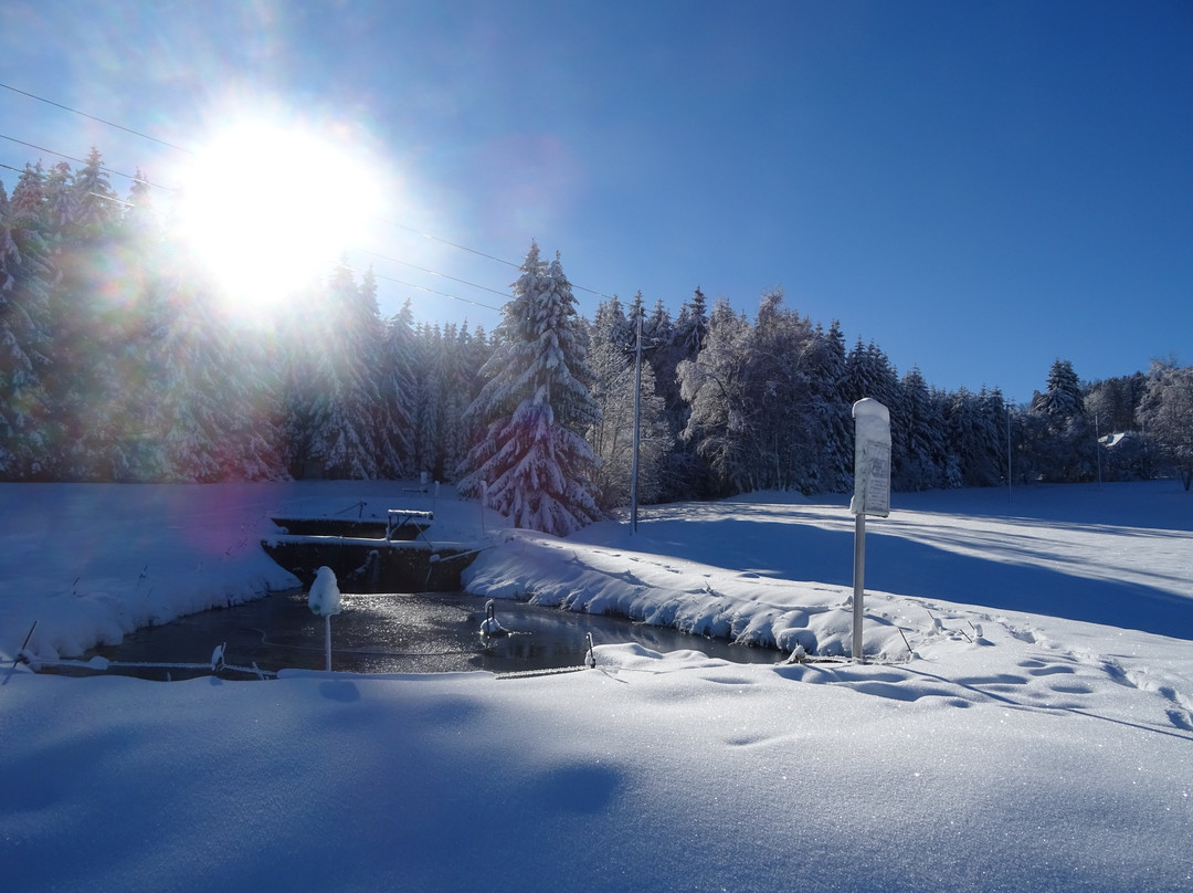Gasthof-Pension Nordwald主图