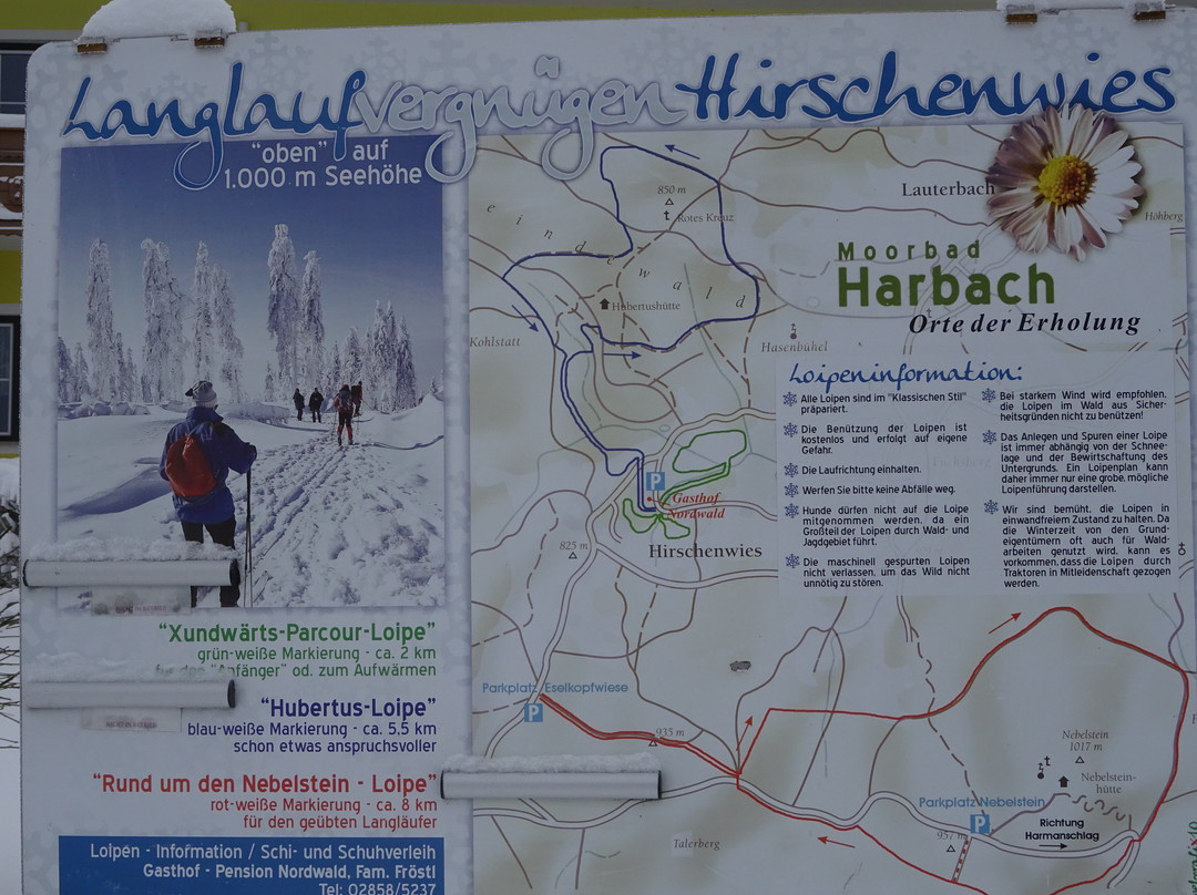Gasthof-Pension Nordwald主图